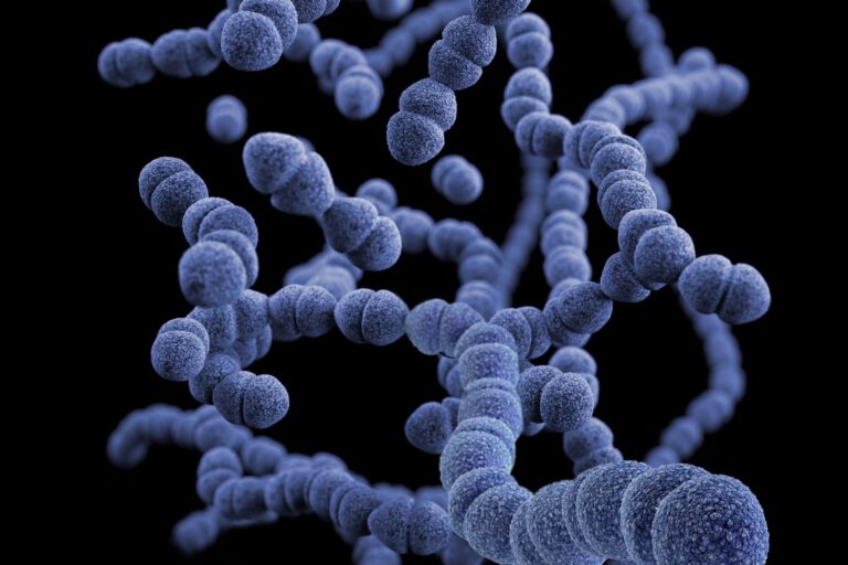 Novo antibiótico mostra-se promissor contra uma das bactérias mais nocivas ao ser humano