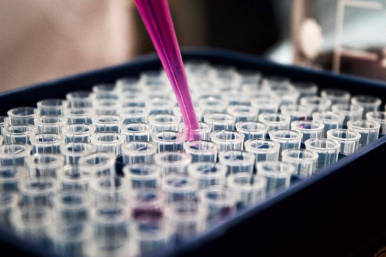 Este alimento muito apreciado pelos portugueses está associado a maior risco de cancro