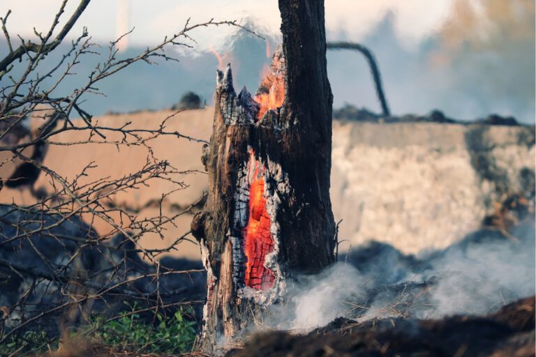 Incêndios: Ativados todos os meios de combate até 30 de setembro