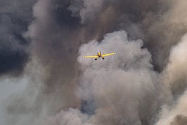 incêndios florestais